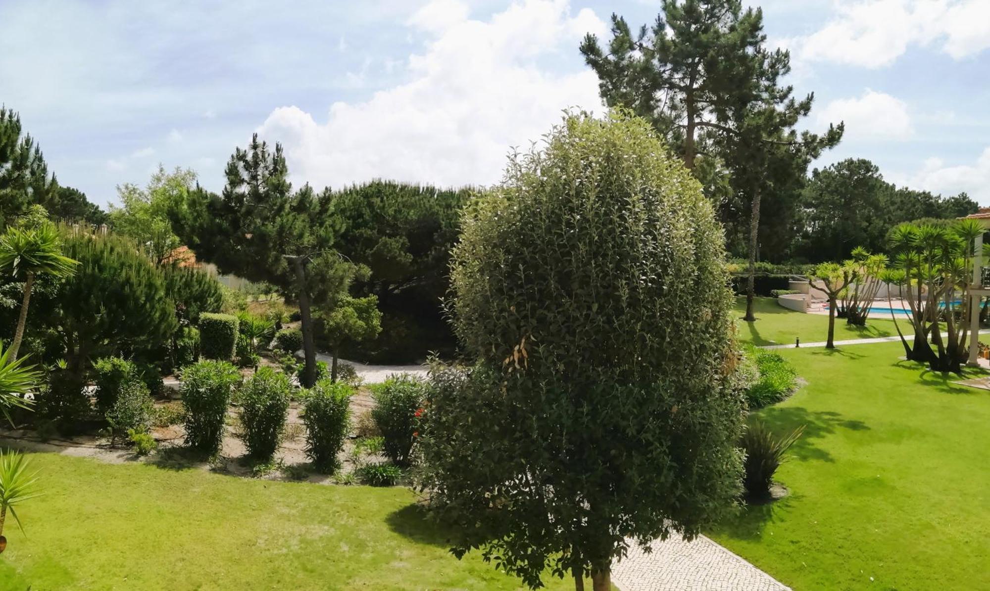 Praia del Rei Vila Dos Principes In Praia D'El Rey מראה חיצוני תמונה